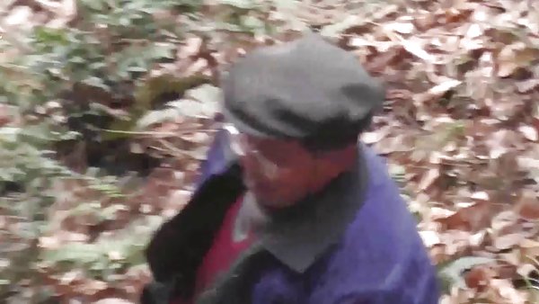 克隆人战争,阿索卡色情片树林森林,我可否认这一点我妈妈的车手的歌词
